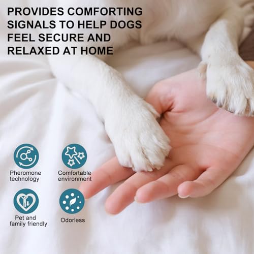 Diffuseur phéromones chien pour calmer l'anxiété à la maison lors des absences