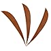 ZSHJGJR Archery Arrow Feathers 4Inch 5 Inch Turkey Feathers Fletchings Arrow Feathers Fletches Right Wing for DIY Hunting Arrows 50PCS (4inch, Right Wing, Brown)