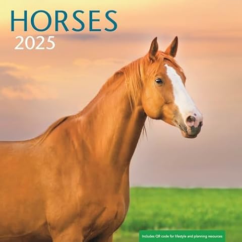 Horses 2025 Wall Calendar Cover
