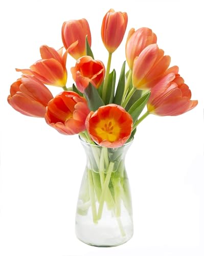 Image of KaBloom-10 Orange Tulip Bouquet,Flowers for Valentine, Mother's Day
