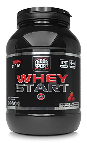 Tegor Sport Whey Start Fresa Silvestre - 1000 gr Cover