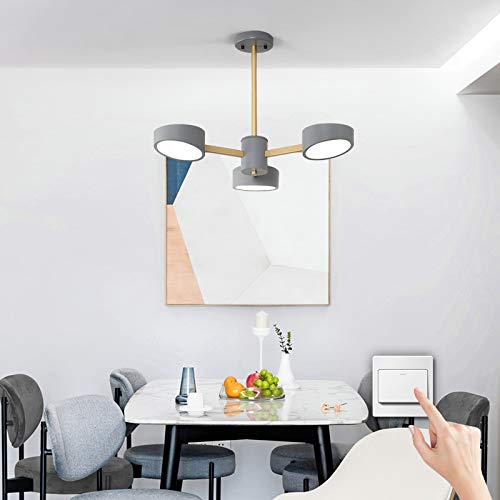 Eurohandisplay LED Deckenleuchte 9013D – Ø 95 Cm, Grau, Lichtfarbe Einstellbar, Energiesparklasse A+ – Für Wohnzimmer, Küche & Mehr