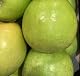 Klarapfel Pflanze im großen Topf kräftig gewachsen
