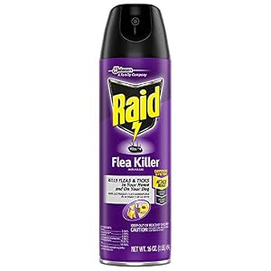 Raid Flea Killer Kills Fleas Crickets Roaches Silverfish and Ticks Use in your Home or on your Dog 16 Oz Pack of