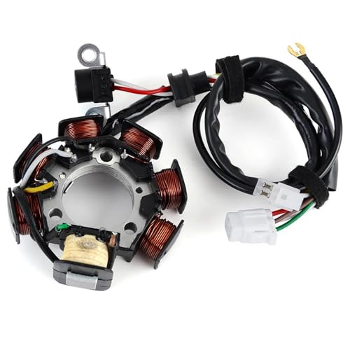 Stator pour Yamaha TTR125EW résout les problèmes de démarrage bobine moto 5HP-85510-10