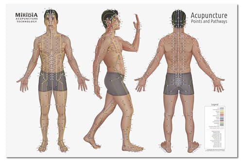 Image of Miridia Acupuncture Chart - Huge Laminated Anatomical TCM Meridian & Points Poster - Clinic /Study Use - Accurate Acupuncture Point Chart - Clear Labels - Comprehensive Meridian System - 36x24, Male