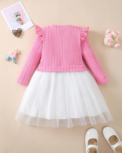 Rosibel Toddler Girl Tutu Dress Girls Long Sleeve Autumn Spring Tulle Casual Dresses for 2-7 Years2