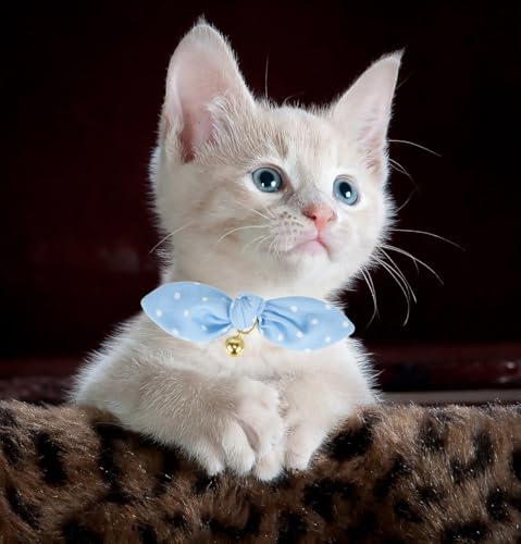 YUDOTE Coleira de gato gravata borboleta com sino, pacote com 2 coleiras de algodão com laço removív
