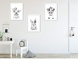 Nacnic Lot de 3 Affiches pour Les Enfants et Une Salle de Style scandinave avec des Plumes Enfants A4Animales dimensionner unframed