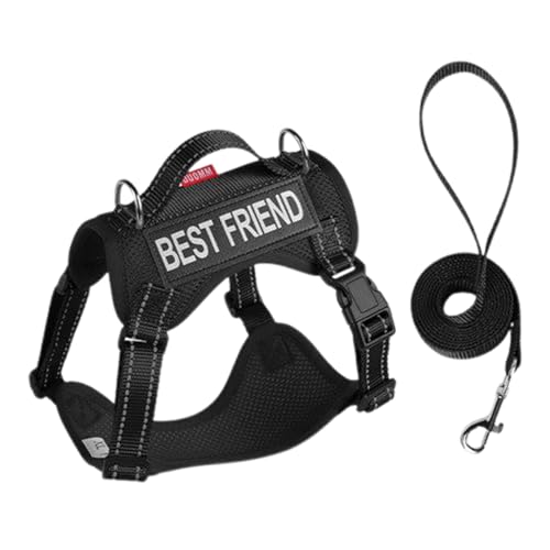 犬用ハーネスセット - 逃げ防止メッシュ歩行ハーネス 軽量ペット用品 反射ストリップ付きトレーニングカラー | 反射ストリップ付き 防止機能付き 散歩用ペット用品 大型 中型向け