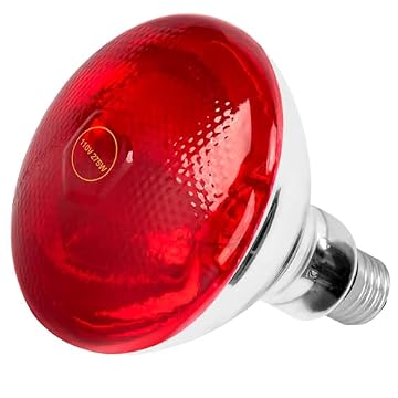best light bulb for sauna