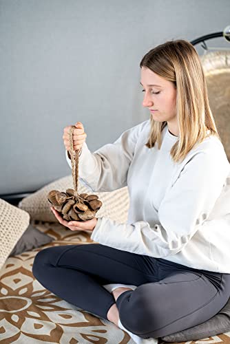 Sonic Energy SPGRS Meinl Sonic Energy Seed Shell Shaker Percussion Instrument — Nature Sounds thumb #4