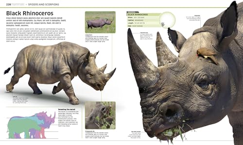 Animal! (DK Knowledge Encyclopedias) - Image 3