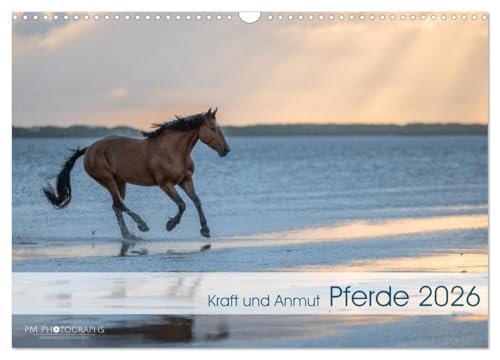 Horses 2026 Power and Grace (Wall Calendar 2026 DIN A3 Landscape), CALVENDO Monthly Calendar: Expressive Horses in Nature