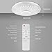 36W APP Remote Control Color Changing Ceiling Lamp with Bluetooth Speaker, Flush Mount LED Bathroom Music Ceiling Light for Kids Room, Laundry, Hallway