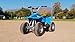Razor Dirt Quad Electric 4-Wheeler Ride-On for Kids Ages 8+, 120 lb Max Weight – 350W Motor, Up to 8 Mph, 40-Min Run Time on High Speed, Twist-Grip Throttle, Steel Wheels with 12” Pneumatic Tires