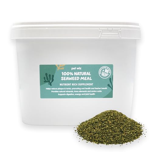Which herbs are good for dogs