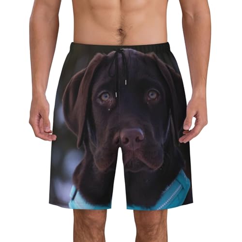 Men's Beach Shorts Labrador Retriever Mens Swim Trunks Board Shorts with Pockets Swimwear Bathing Suits