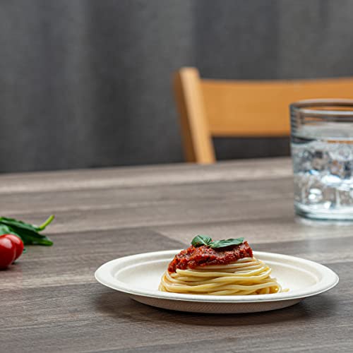 100% Compostable 7 Inch Heavy-Duty Plates [125 Pack] Eco-Friendly Disposable Sugarcane Paper Plates - Brown Unbleached #TOP4
