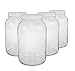 1-gallon USDA Fermentation Glass Jars, Set of 4