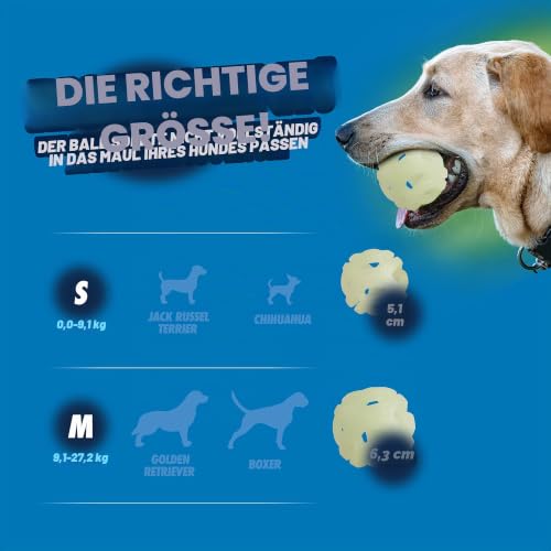 Chuckit! – Air Glow Ball – Phosphoreszierender Spielzug für Hunde – Erholungsball für – Der die Luftzirkulation für Hunde erleichtert – Kleine Größe – Durchmesser von 5 cm – Packung mit 2 Bällen