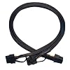 LilyJudy 10 Pin To Dual Pci-E 8 Pin(6+2) Power Supply Cable for Dl580 Dl585 Dl980 G7 Server 23.5-In(60Cm)