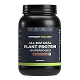 Nutrabay Wellness All Natural Plant Protein - 1kg, Gourmet Chocolate 1kg