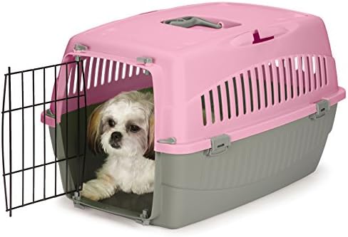 Cruising Companion Carry Me Pet Crate, Medium, Peony