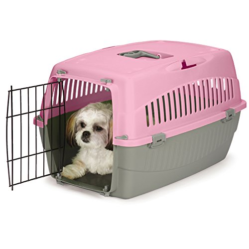 Cruising Companion Carry Me Pet Crate, Medium, Peony #TOP26