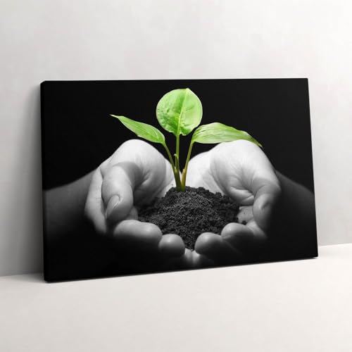 Murale d'art Wallfluent Plante en mains : réveillez vos murs vides de 60x40cm