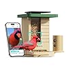 Birdfy Smart Bird Feeder with Camera Solar Powered, Slow-Motion Video & Night Insight, AI Identify 6000+ Species Lifetime Free, Ideal for Outdoors Bird Watching & Gifts for BirdLovers, Wood