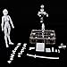 Action Figures Body Kun Body Chan DX PVC Model SHF Grey Color with Box Drawing Figure Models for Artists(Female+Male)
