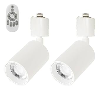 Amazon.co.jp : ACLARA スポットライト 調光調色 リモコン付き