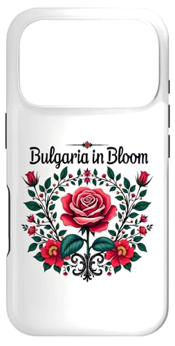 uKA \tBA uKAs [bp X}zP[X iPhone 17 Pro p