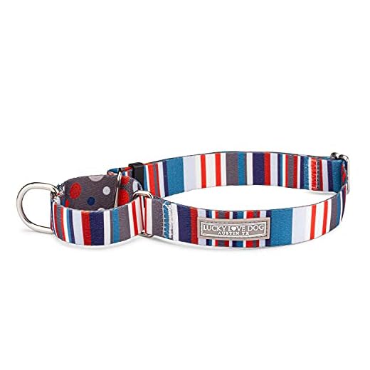 Lucky Love Dog - Adjustable Dog Collar with Easy Click Buckle for Medium, Durable, & Comfortable for Male & Female Dogs, Pet Collar for Puppies & Adult Dogs - Linus, Medium
