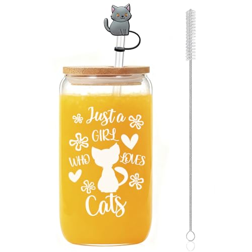Cadeaux pour les amoureux des chats pour femmes et hommes, élégants verres avec motifs de chats, tasse de 473 ml avec couvercle, tasse à emporter transparente avec paille en verre, brosse à paille et