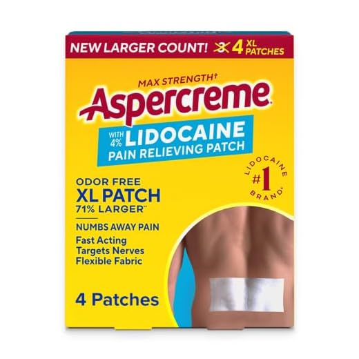 Aspercreme 4% Lidocaine Pain Relief XL Topical Patches, 4-Count