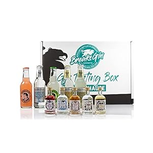 Breaks Gin Tasting Box 2 I Gin Geschenkbox mit 5 Gin Sorten (à 50ml) + 3 Tonic Water + 1 Ginger Beer + 1 Bitter Lemon (à…