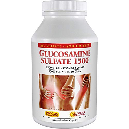 Guide To Find The Best Andrew Lessman Glucosamine Chondroitin To Buy