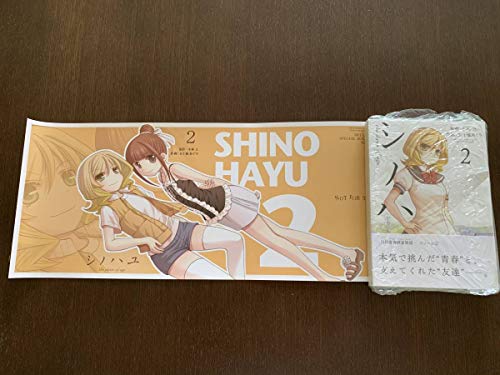 シノハユ 2巻 メロンブックス特典ブックカバー付き 咲 -saki- シノハユ 2巻 メロンブックス特典ブックカバー付き 咲 -saki-