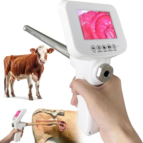 Pistolet do sztucznej inseminacji dla bydła z ekranem LCD i sondą temperaturową – niezbędne urządzenie hodowlane do użytku weterynaryjnego i rolniczego