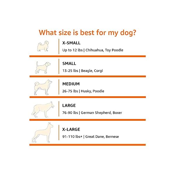 Amazon-Basics-2-Door-Collapsible-Soft-Sided-Folding-Soft-Dog-Travel-Crate-Kennel-Small-18-x-18-x-26-Inches-Tan Amazon-Basics-2-Door-Collapsible-Soft-Sided-Folding-Soft-Dog-Travel-Crate-Kennel-Small-18-x-18-x-26-Inches-Tan