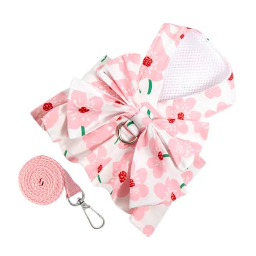 SEWOART pԕhX L[gFXpybg ʋC - qpK[hX n[lX - LppqLpybg (m)