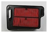 Genuine OEM For Suzuki Burgman AN400 2007-2012 Air Filter 13781-05H00-000 13781-05H00 1378105H00