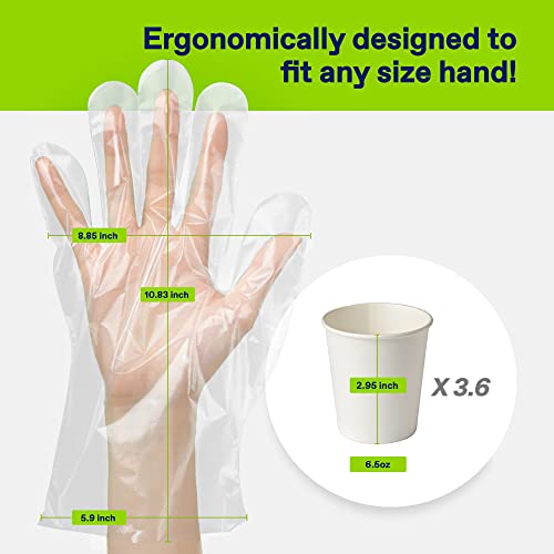 Cleanwrap Disposable Gloves - Ldpe, Bpa Free (500 Piece) | Food Service Gloves, Clean Gloves Disposable, Disposable Plastic Gloves Korean, Clean Vinyl Glove, Plastic Gloves Thick #TOP5