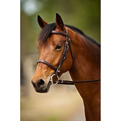Nunn Finer Event Bridle (Cob, Black/Zinc)