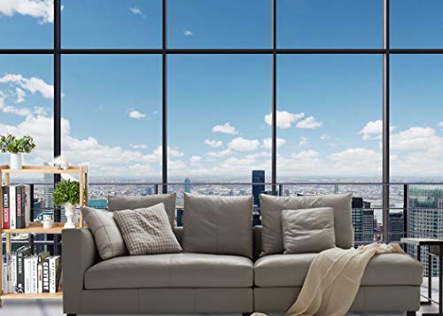 Lywygg 7X5Ft Office Room Backdrop City Vinyl Backdrops Business Street View Skyscraper French Sash Blue Sky White Cloud Sunshine Photography Background For Photo Studio Props Cp-311 #TOP2