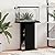 vidaXL Aquarium Stand, Fish Tank Cabinet with Storage, Fish Tank Stand for Home Living Room, Aquarium Cabinet, Black Engineered Wood