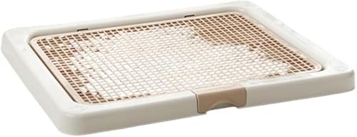 KryZaro55x45cm R[q[FpgCgC L݌v RہEL@\ ȒP ybggCp