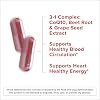 Qunol 3-en-1 Cápsulas de Raíz de Remolacha con CoQ10, Apoyo para la Presión Arterial, 60 unidades | Apoya la Circulación Sanguínea Saludable y la Energía Saludable del Corazón, de la Marca #1 de CoQ10, Vegetariano, Cápsulas sin Colorantes Sintéticos, 60 unidades (Paquete de 1) 4